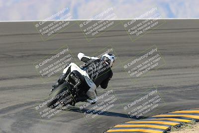 media/Jan-20-2023-Apex Assassins (Fri) [[05880b9d29]]/Trackday 1/Session 2 (Bowl Backside)/